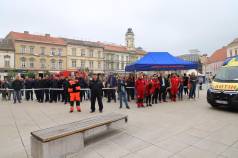 Mini IMG 0829